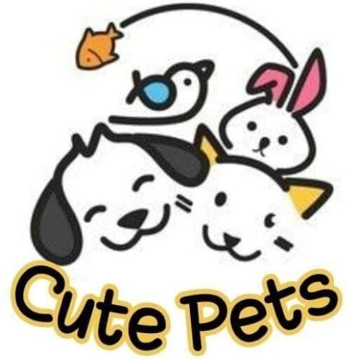 love cute pets